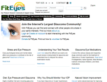Tablet Screenshot of fiteyes.com